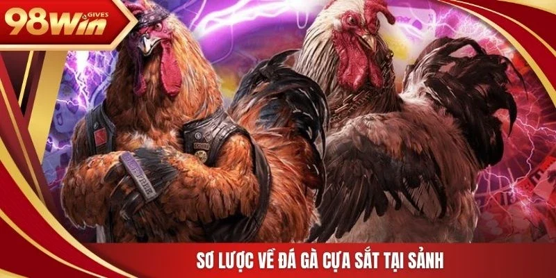 98win Đá gà cựa sắt Sơ lược về đá gà cựa sắt tại sảnh