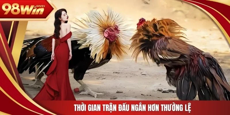 98win Đá gà cựa sắt Thời gian trận đấu ngắn hơn thường lệ