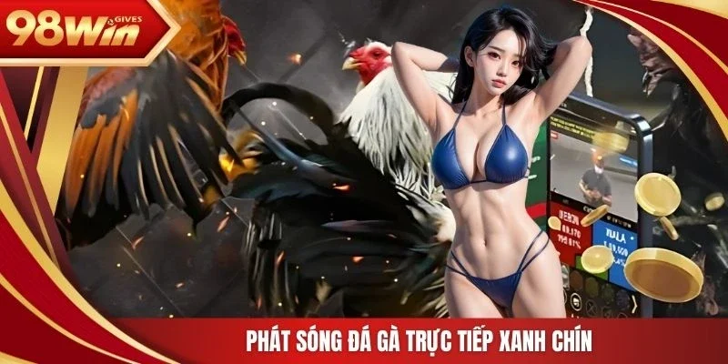 98win đá gà trực tiếp Phát sóng đá gà trực tiếp xanh chín